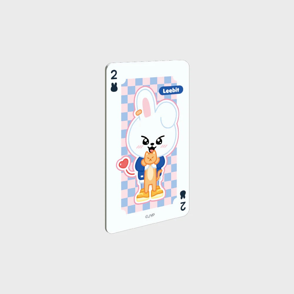SKZOO NFC Theme Card Leebit